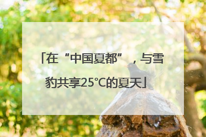 在“中国夏都”，与雪豹共享25℃的夏天