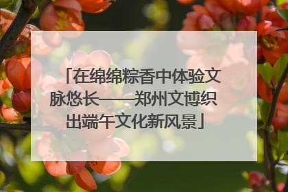 在绵绵粽香中体验文脉悠长——郑州文博织出端午文化新风景