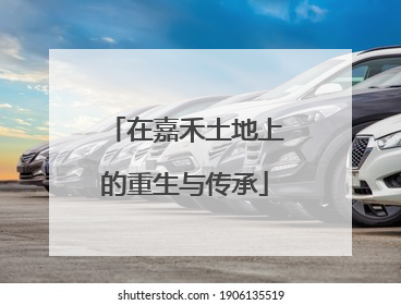 在嘉禾土地上的重生与传承