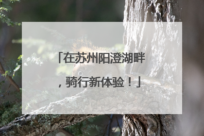 在苏州阳澄湖畔，骑行新体验！