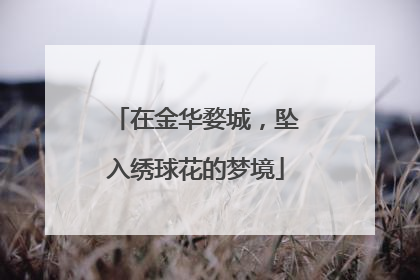 在金华婺城，坠入绣球花的梦境