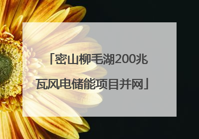 密山柳毛湖200兆瓦风电储能项目并网