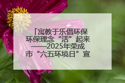 寓教于乐倡环保 环保理念“活”起来——2025年荣成市“六五环境日”宣传活动圆满举行