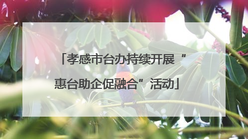 孝感市台办持续开展“惠台助企促融合”活动