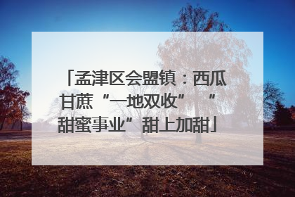 孟津区会盟镇：西瓜甘蔗“一地双收” “甜蜜事业”甜上加甜