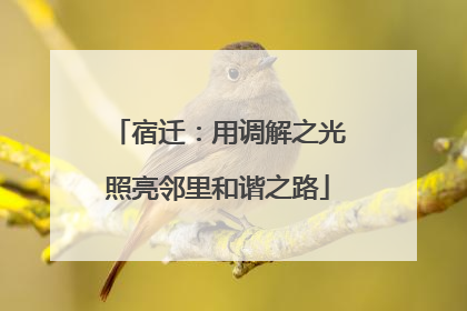 宿迁：用调解之光照亮邻里和谐之路
