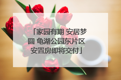 家园有期 安居梦圆 龟湖公园东片区安置房即将交付