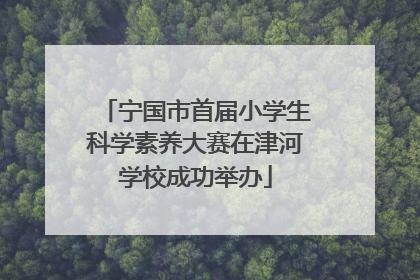 宁国市首届小学生科学素养大赛在津河学校成功举办