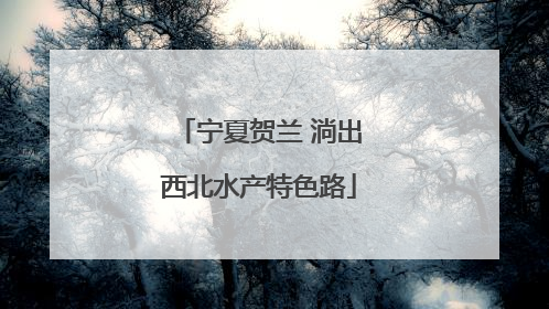 宁夏贺兰 淌出西北水产特色路