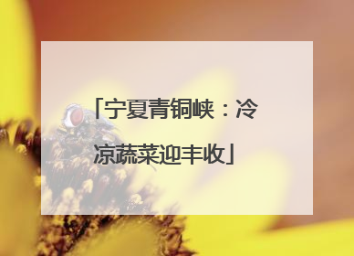 宁夏青铜峡：冷凉蔬菜迎丰收