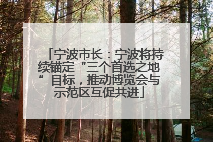 宁波市长：宁波将持续锚定“三个首选之地”目标，推动博览会与示范区互促共进