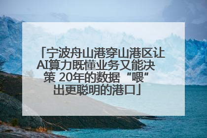 宁波舟山港穿山港区让AI算力既懂业务又能决策 20年的数据“喂”出更聪明的港口