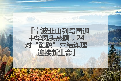 宁波韭山列岛再迎中华凤头燕鸥，24对“酷鸥”喜结连理迎接新生命