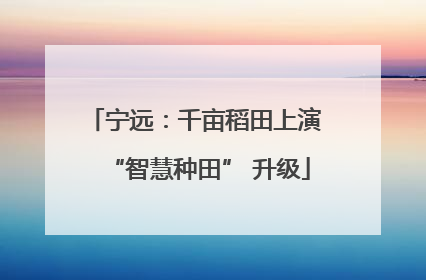 宁远：千亩稻田上演 “智慧种田” 升级