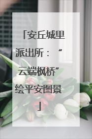 安丘城里派出所：“云端枫桥”绘平安图景
