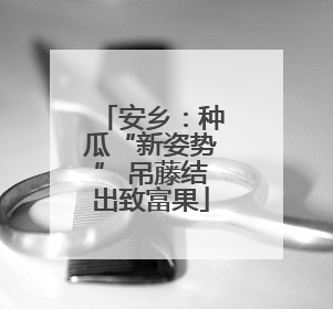 安乡：种瓜“新姿势” 吊藤结出致富果