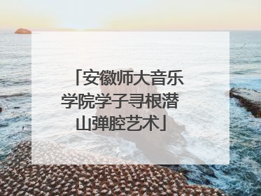 安徽师大音乐学院学子寻根潜山弹腔艺术
