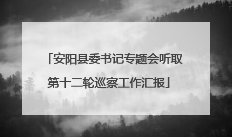 安阳县委书记专题会听取第十二轮巡察工作汇报