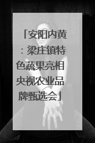 安阳内黄：梁庄镇特色蔬果亮相央视农业品牌甄选会