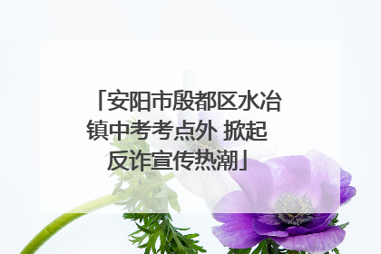 安阳市殷都区水冶镇中考考点外 掀起反诈宣传热潮