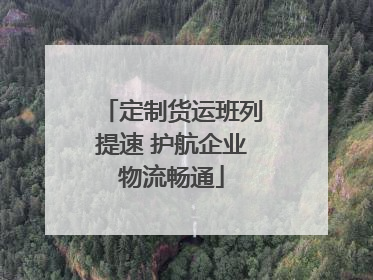 定制货运班列提速 护航企业物流畅通