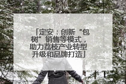 定安：创新“包树”销售等模式，助力荔枝产业转型升级和品牌打造