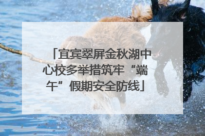 宜宾翠屏金秋湖中心校多举措筑牢“端午”假期安全防线