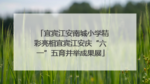 宜宾江安南城小学精彩亮相宜宾江安庆“六一”五育并举成果展