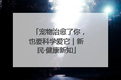 宠物治愈了你，也要科学爱它｜新民·健康新知
