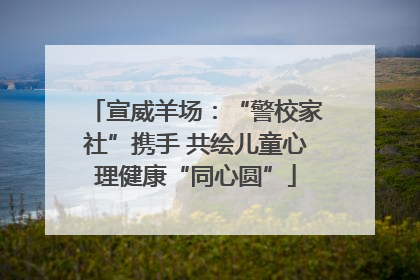 宣威羊场：“警校家社”携手 共绘儿童心理健康“同心圆”