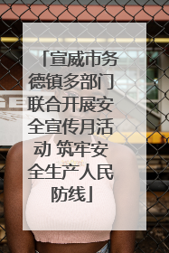 宣威市务德镇多部门联合开展安全宣传月活动 筑牢安全生产人民防线