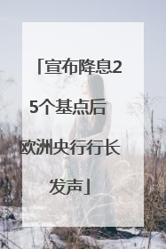 宣布降息25个基点后 欧洲央行行长发声