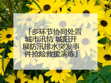 多环节协同处置城市汛情 城阳开展防汛排水突发事件抢险救援演练