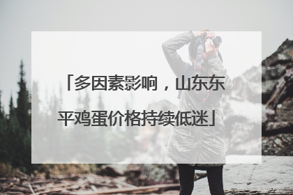 多因素影响，山东东平鸡蛋价格持续低迷