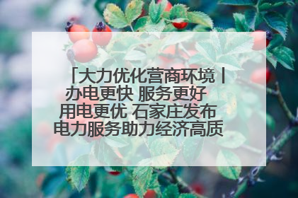 大力优化营商环境丨办电更快 服务更好 用电更优 石家庄发布电力服务助力经济高质量发展八项措施