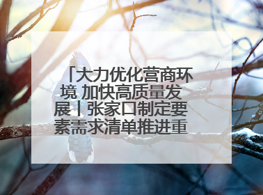 大力优化营商环境 加快高质量发展丨张家口制定要素需求清单推进重点项目建设