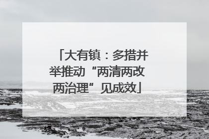 大有镇：多措并举推动“两清两改两治理”见成效