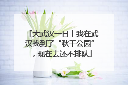 大武汉一日︱我在武汉找到了“秋千公园”，现在去还不排队