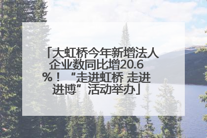 大虹桥今年新增法人企业数同比增20.6%！“走进虹桥 走进进博”活动举办