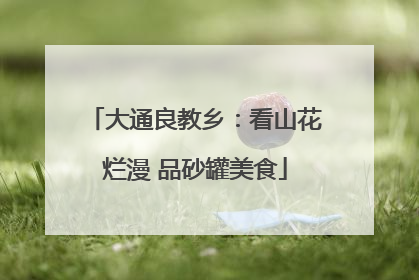大通良教乡：看山花烂漫 品砂罐美食