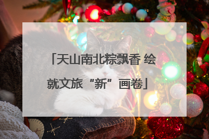 天山南北粽飘香 绘就文旅“新”画卷