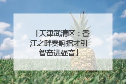 天津武清区：香江之畔奏响招才引智奋进强音