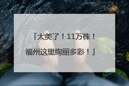 太美了！11万株！福州这里绚丽多彩！