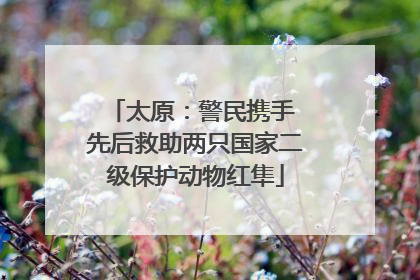 太原：警民携手 先后救助两只国家二级保护动物红隼