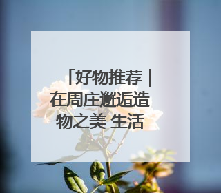 好物推荐｜在周庄邂逅造物之美 生活更有趣