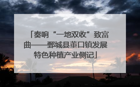 奏响“一地双收”致富曲——鄄城县董口镇发展特色种植产业侧记