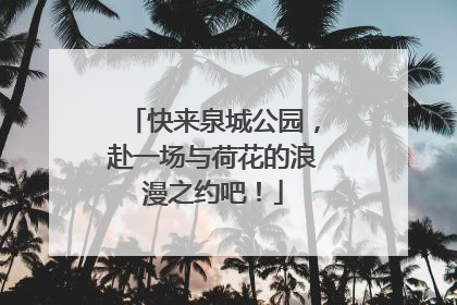 快来泉城公园，赴一场与荷花的浪漫之约吧！