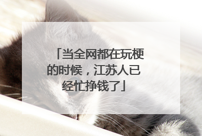 当全网都在玩梗的时候，江苏人已经忙挣钱了