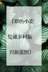 彩色小麦绘就乡村振兴新蓝图