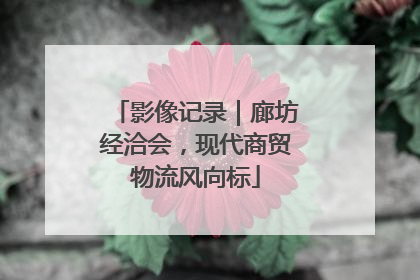 影像记录｜廊坊经洽会，现代商贸物流风向标